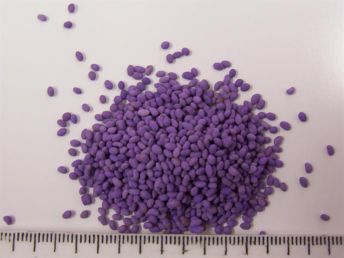 Coated Alfalfa Seed